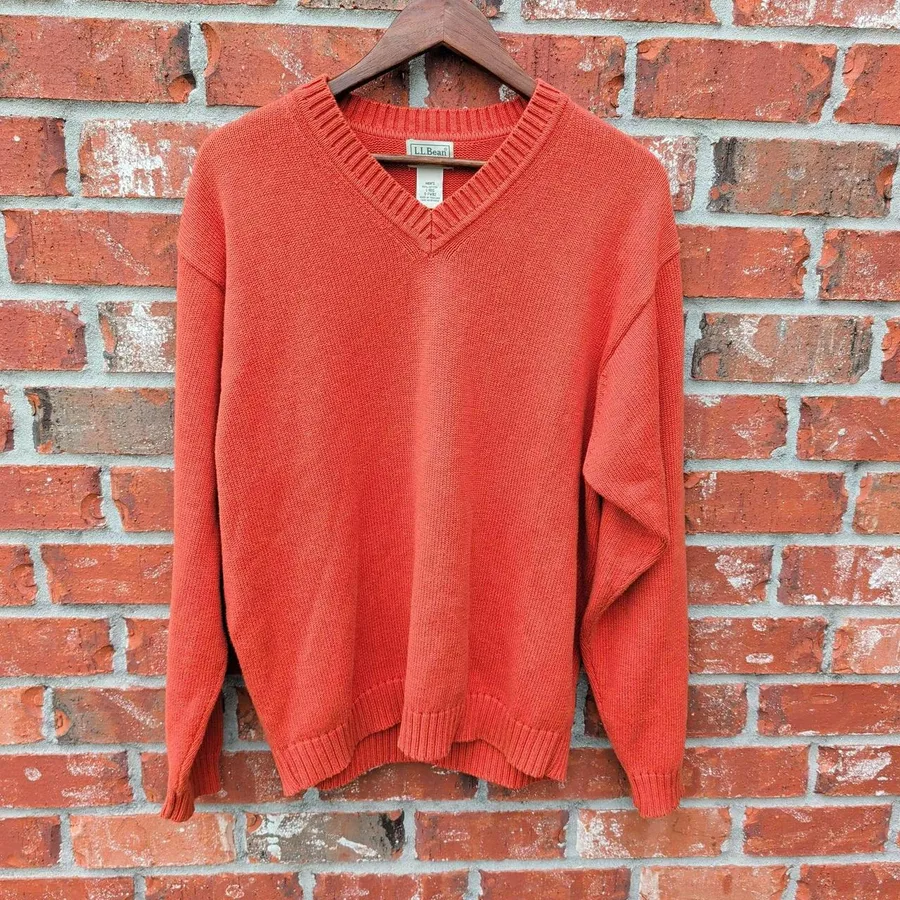 LL Bean V-Neck Sweater Mens Large Orange 100% Cotton Long Sleeve Pullover