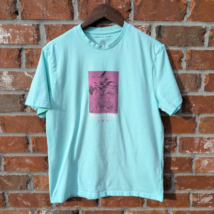 American Eagle Graphic Tee Mens M Mint Green Bird Print Short Sleeve